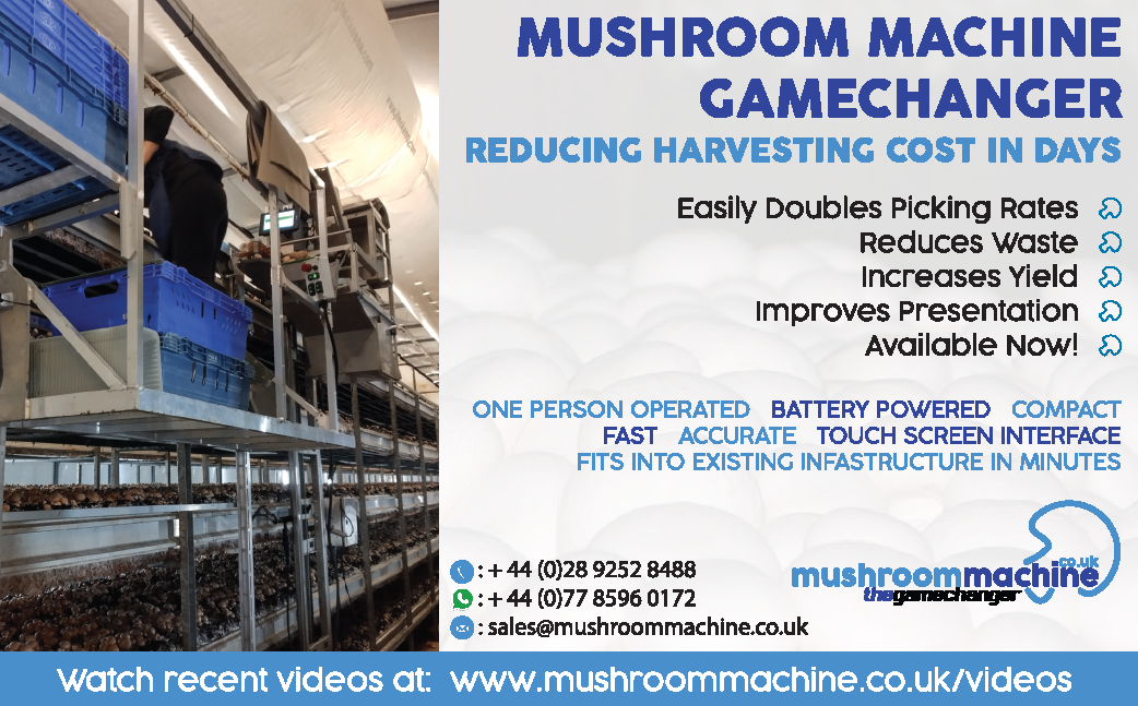 Mushroom Machine