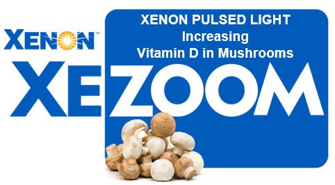 XENON Zoom Presentation